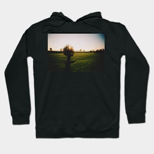 Film photo of a lone tree standing in a green field of grass; the sun has begun to set Hoodie